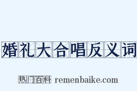婚礼大合唱反义词是什么意思的图片